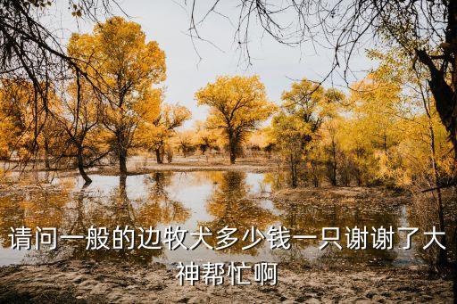 請問一般的邊牧犬多少錢一只謝謝了大神幫忙啊