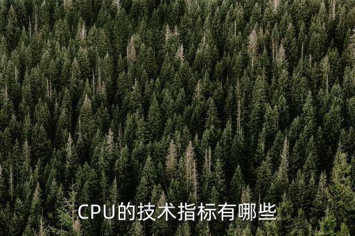 主要技術指標，CPU的技術指標有哪些