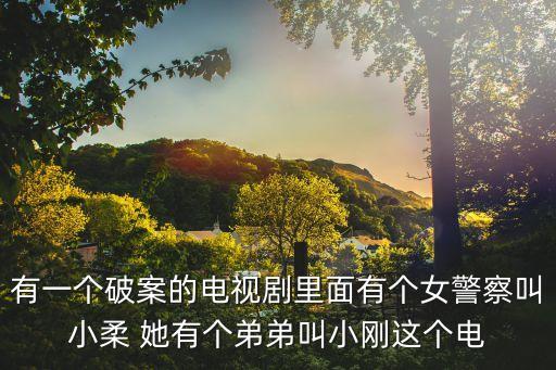 有一個破案的電視劇里面有個女警察叫小柔 她有個弟弟叫小剛這個電