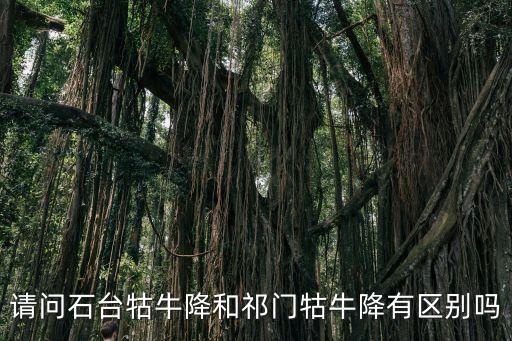 石臺(tái)牯牛降，石臺(tái)牯牛降在那里