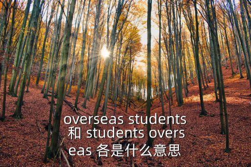 overseas，oversea sales 什么意思