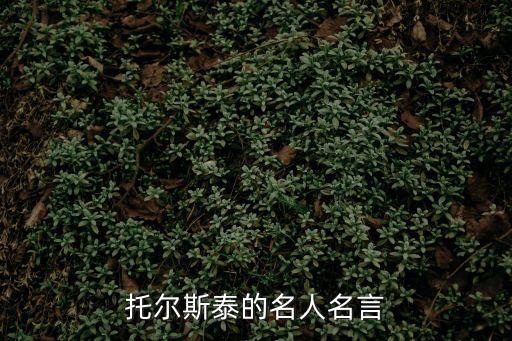托爾斯泰的名言，列夫托爾斯泰說過哪些名言