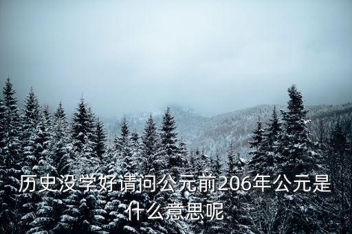歷史沒學好請問公元前206年公元是什么意思呢