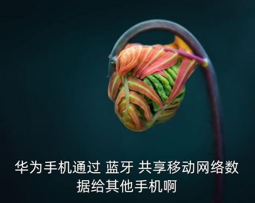 華為手機通過 藍牙 共享移動網絡數據給其他手機啊