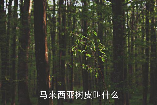 馬來(lái)西亞?wèn)|革阿里,馬來(lái)西亞:樹(shù)皮名東革阿里功效卓著