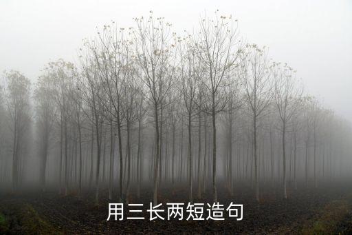 三長(zhǎng)兩短造句，用三長(zhǎng)兩短和腳踏實(shí)地造句