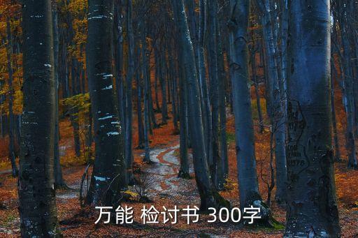 檢討書自我反省300字