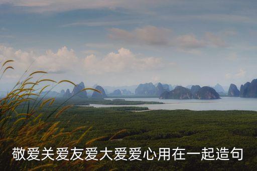 敬愛關(guān)愛友愛大愛愛心用在一起造句