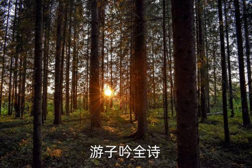 游子吟的詩，游子吟這首詩