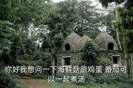 番茄海鮮菇，你好我想問(wèn)一下海鮮菇跟雞蛋 番茄可以一起煮湯