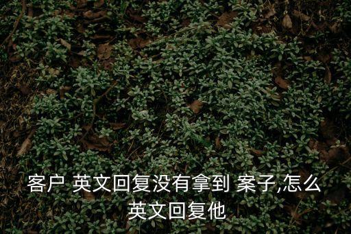 客戶 英文回復(fù)沒有拿到 案子,怎么 英文回復(fù)他