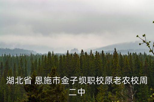 恩施職院,湖北恩施職院附中建筑系和相關(guān)專業(yè)出現(xiàn)校風(fēng)問題