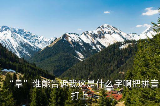 阜字五筆怎么打,第三集:阜康1字畫部首:0總筆畫:0