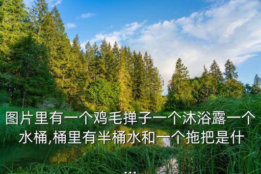 圖片里有一個雞毛撣子一個沐浴露一個 水桶,桶里有半桶水和一個拖把是什...