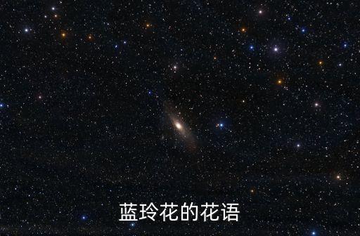 藍(lán)鈴花的花語，藍(lán)玲花的花語