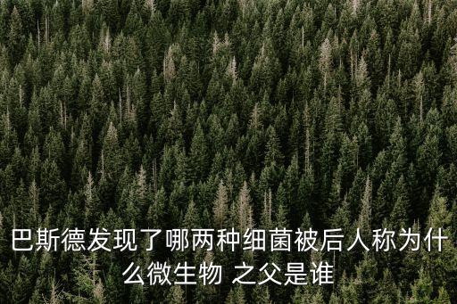 微生物學之父,荷蘭微生物工程之父胡克