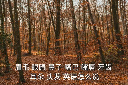 牙的英文，眉毛 眼睛 鼻子 嘴巴 嘴唇 牙齒 耳朵 頭發(fā) 英語(yǔ)怎么說(shuō)