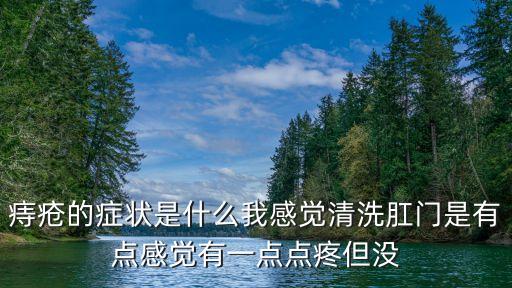 痔瘡的癥狀是什么我感覺清洗肛門是有點感覺有一點點疼但沒