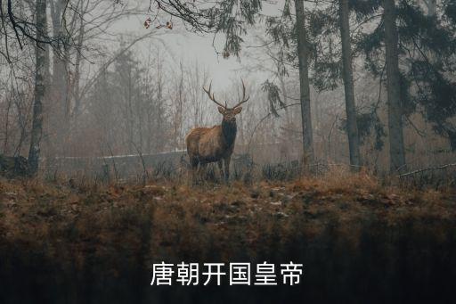 唐朝開國皇帝，唐朝開國皇帝是誰