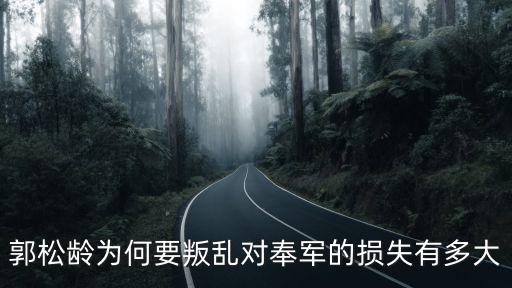 郭松林,張命去討伐國軍卻被郭拒絕