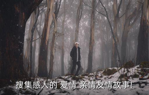 親情式的愛情,人生有三大情感:親情友情愛情