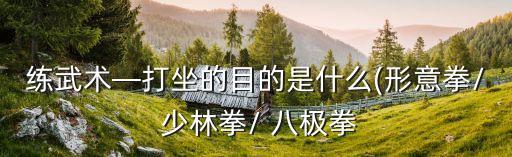 練武術—打坐的目的是什么(形意拳/ 少林拳/ 八極拳