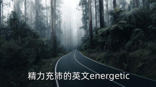 精力充沛的,精力充沛的adj.充滿活力