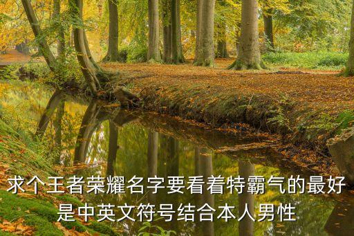 求個王者榮耀名字要看著特霸氣的最好是中英文符號結合本人男性
