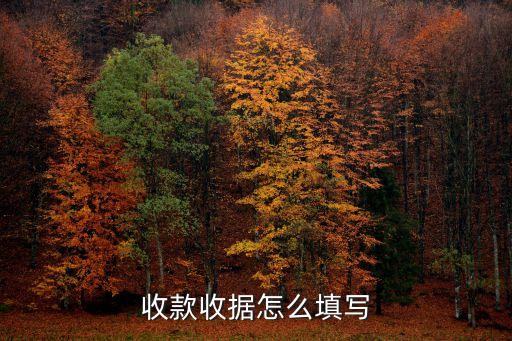 收款收據怎么填寫