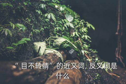 目不轉睛的反義詞,目不轉睛同義詞r\n反義詞:專心集中