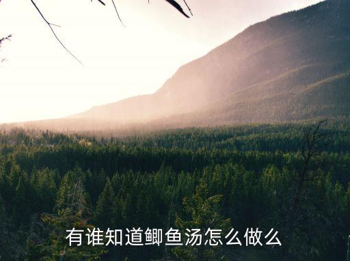 鯽魚湯做法，有誰知道鯽魚湯怎么做么