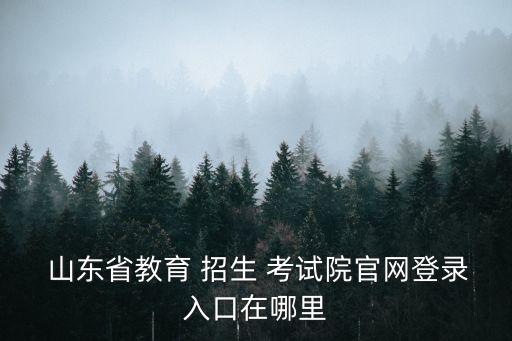 山東省教育 招生 考試院官網登錄入口在哪里