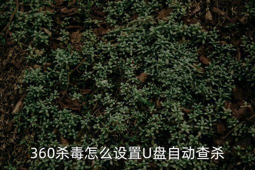 360殺毒怎么設置U盤自動查殺