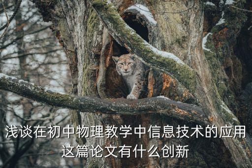 信息技術(shù)教育教學(xué)論文，試論在信息技術(shù)教學(xué)中如何增強學(xué)生自信心與創(chuàng)造能力