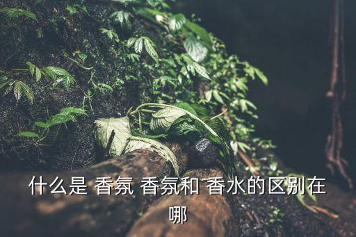香氛和香水的區(qū)別,香水和噴霧的區(qū)別在于哪個(gè)更具傳染力?