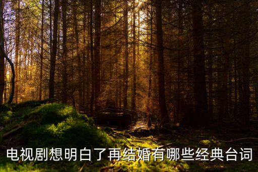 想明白了再結(jié)婚，電視劇想明白了再結(jié)婚中滿意和劉天宇最后怎么了離婚了嗎