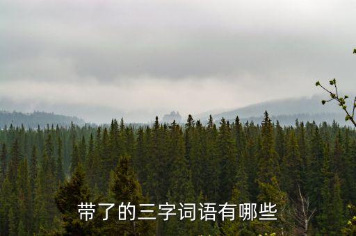 帶了的三字詞語有哪些