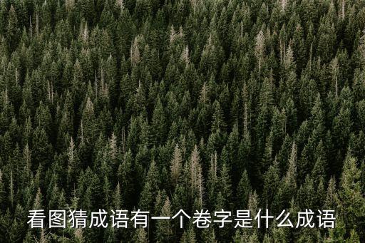看圖猜成語有一個卷字是什么成語