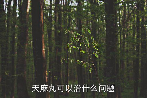 天麻丸可以治什么問題