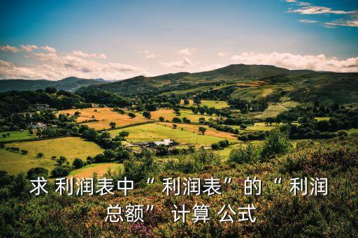 求 利潤表中“ 利潤表”的“ 利潤 總額” 計算 公式