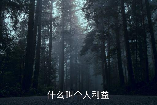 個人利益，什么算個人利益