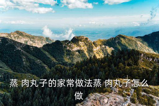 蒸 肉丸子的家常做法蒸 肉丸子怎么做