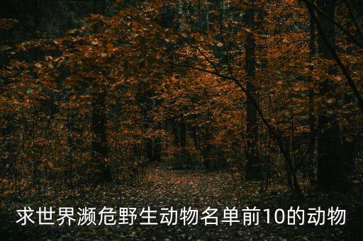 世界十大珍稀動物，世界上最罕見的十種動物是什么