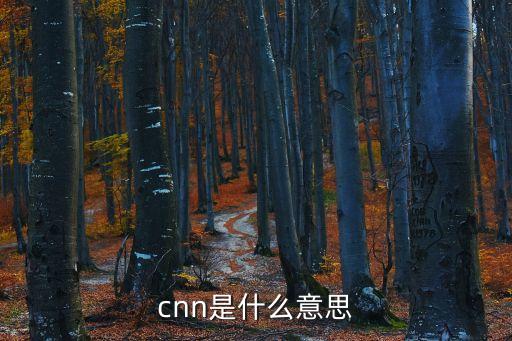 國際新聞網(wǎng)，中國國際新聞網(wǎng)的簡介