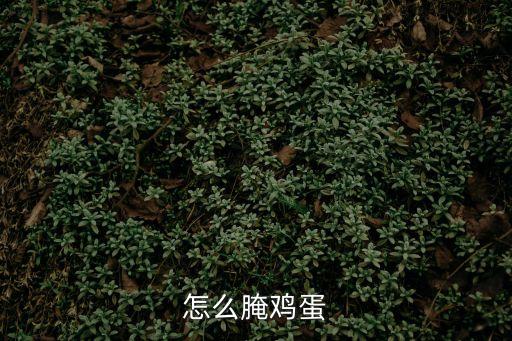 腌雞蛋的正確方法，腌雞蛋的方法各位高人請指點一下謝了