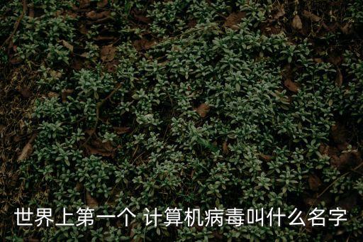 計算機病毒之父,全球首例計算機病毒一年之內傳遍全球