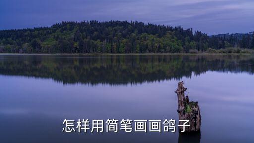 怎樣用簡(jiǎn)筆畫(huà)畫(huà)鴿子
