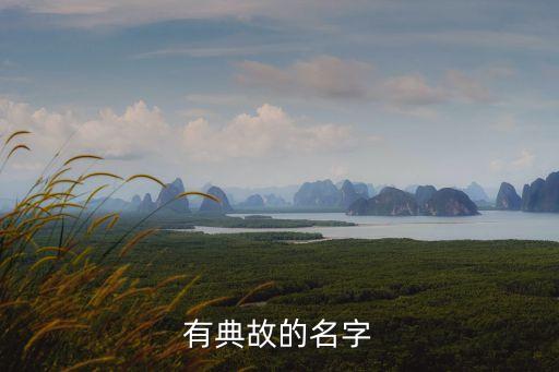 有典故的名字