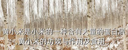 粟米的功效與作用,關于小米粥你必須知道的事