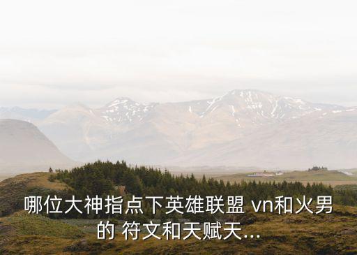 哪位大神指點下英雄聯(lián)盟 vn和火男的 符文和天賦天...